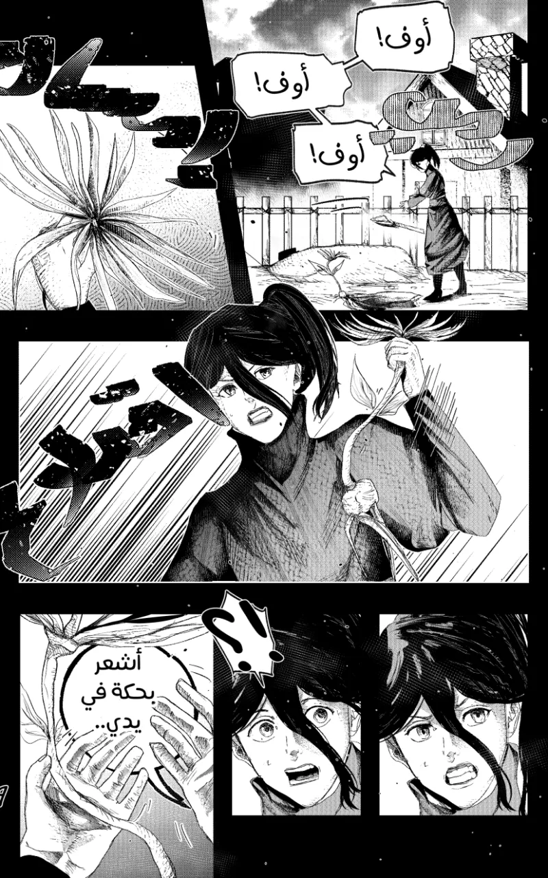 صورة الفصل