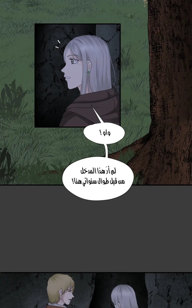 صورة الفصل