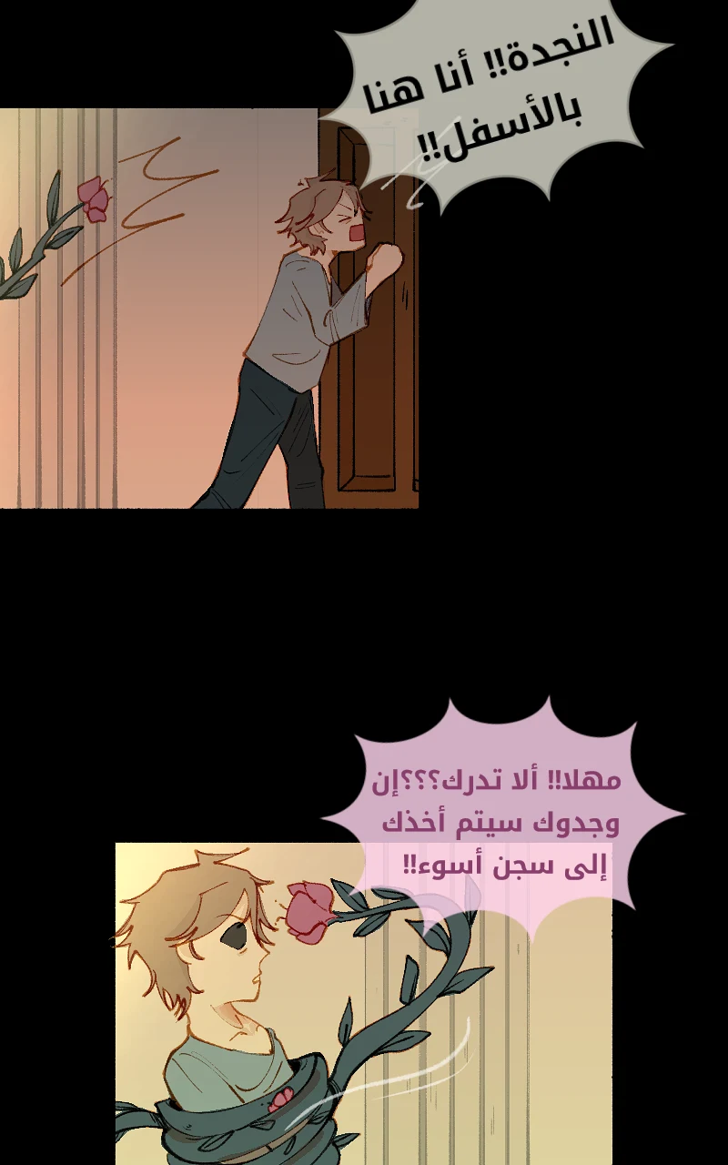 صورة الفصل
