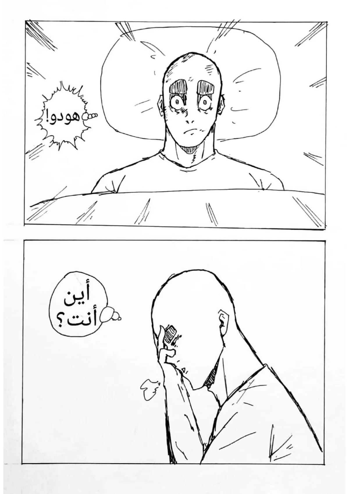 صورة الفصل