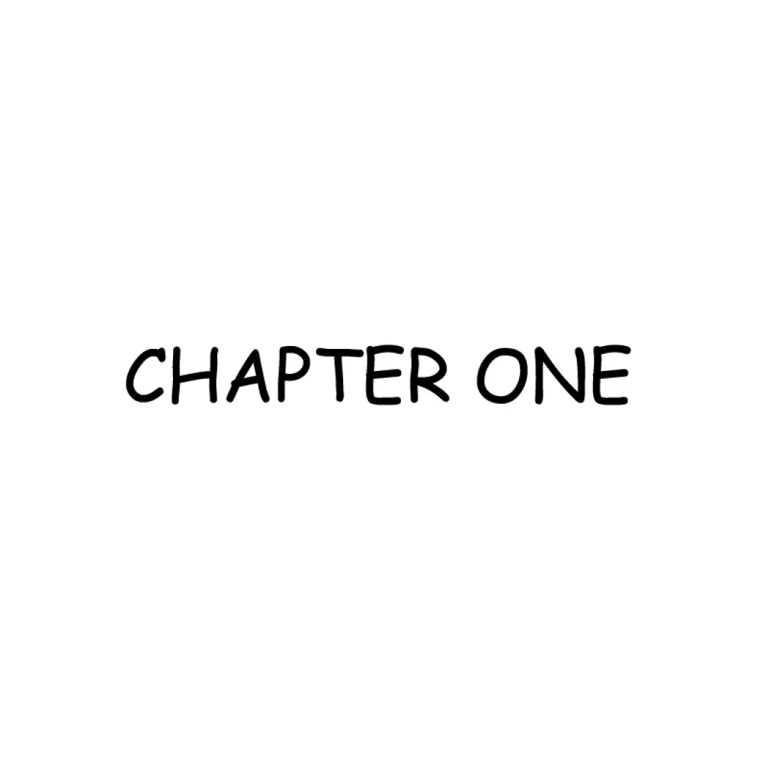 CHAPTER I